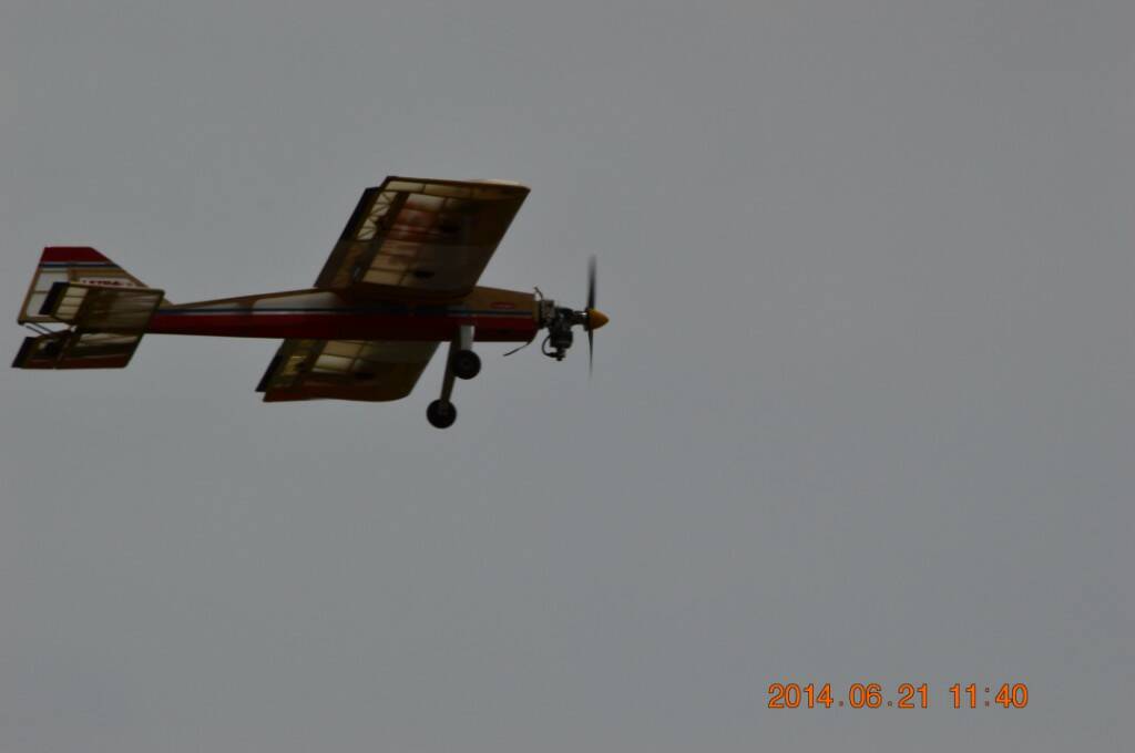DSC_0236.JPG
