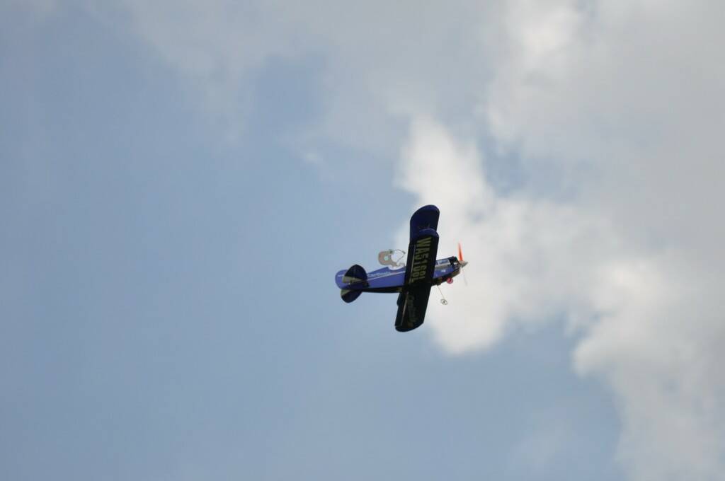 DSC_0216.JPG