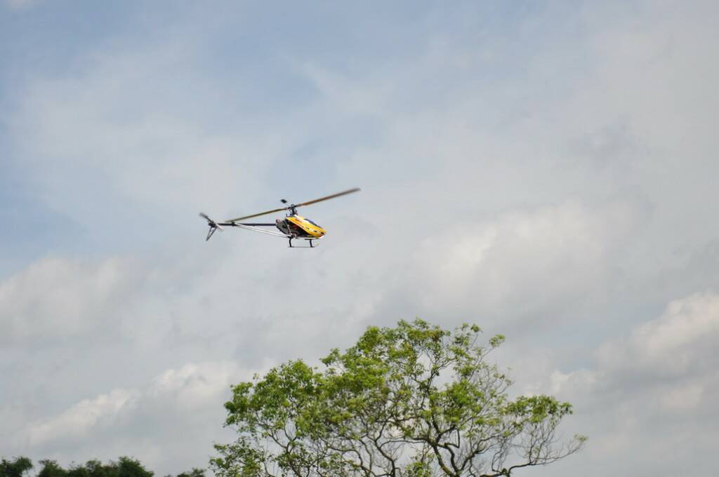 DSC_0243.JPG