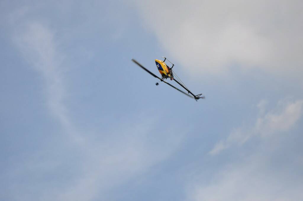 DSC_0248.JPG