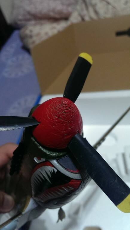 IMAG0456.jpg
