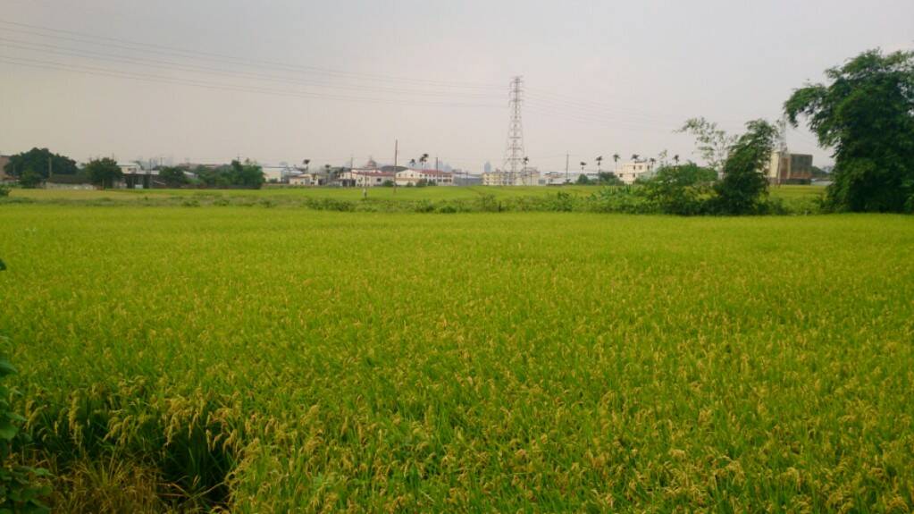 2014062810185200.jpg