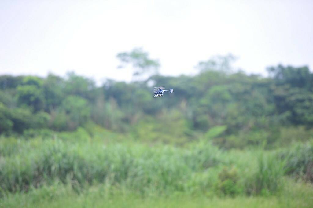DSC_9111-1024.jpg