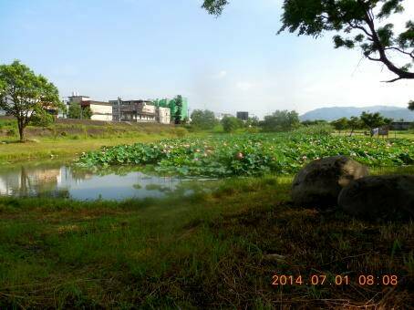 DSCN0129 10.JPG