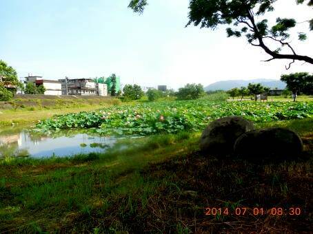 DSCN0136 11.JPG