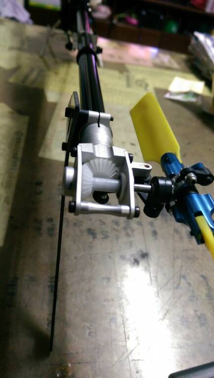 IMAG0081.jpg