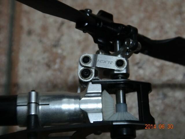 DSC01135 (640x480).jpg