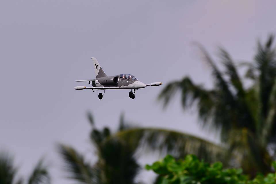 L-39-81.jpg