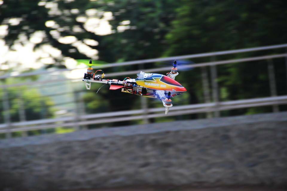 10522133_895609397122656_2140835271_n.jpg