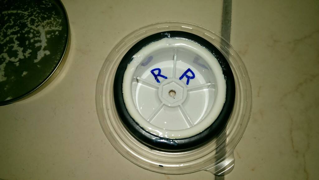 IMAG0301.jpg