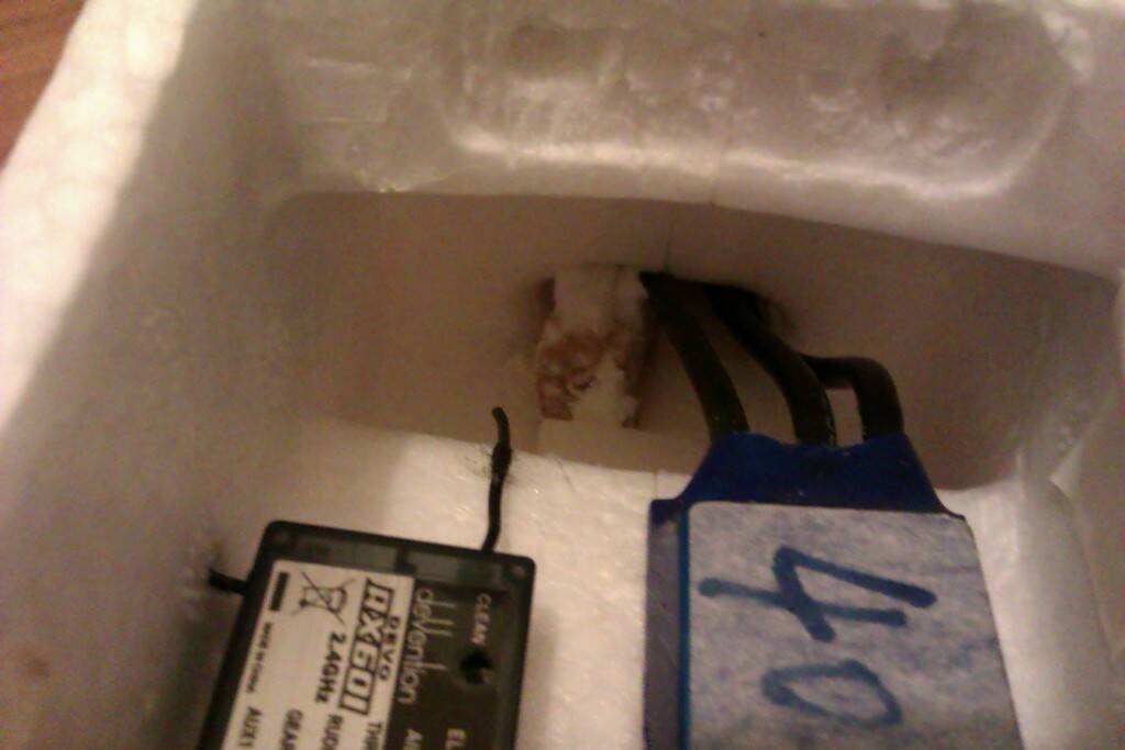 IMAG0922.jpg