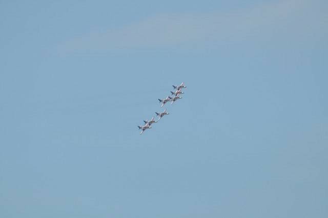 DSC_0610.jpg