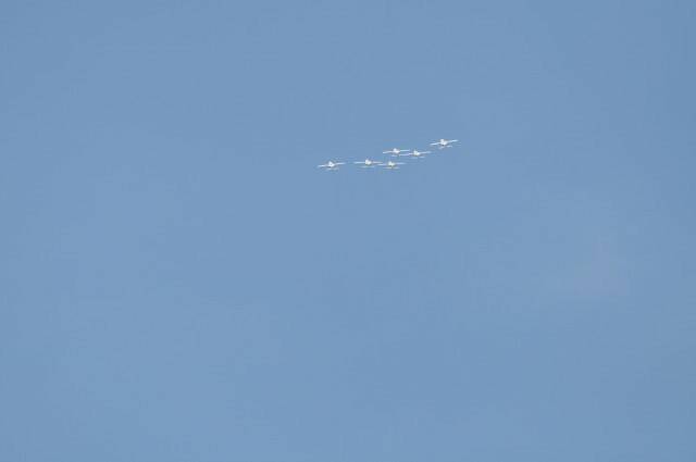 DSC_0724.jpg