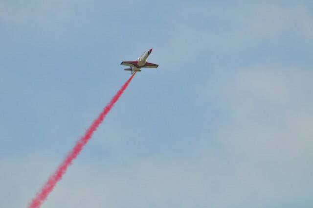 DSC_0732.jpg