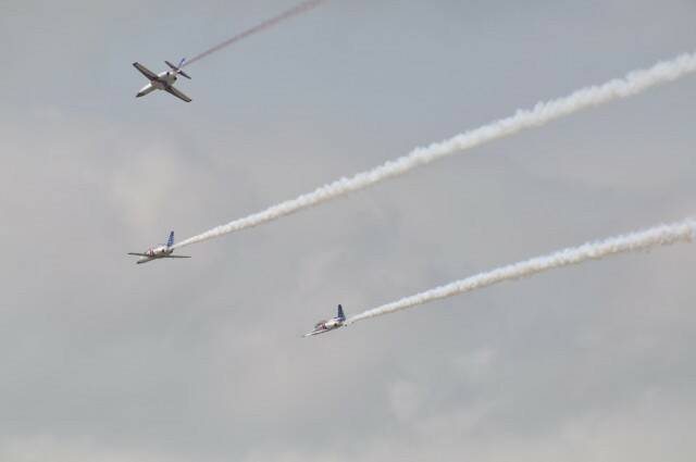 DSC_0768.jpg