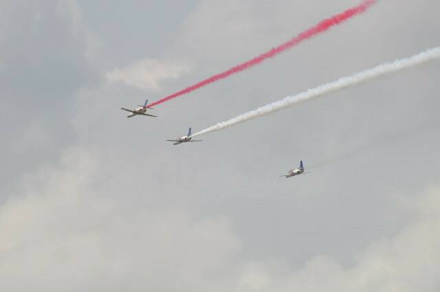 DSC_0774.jpg
