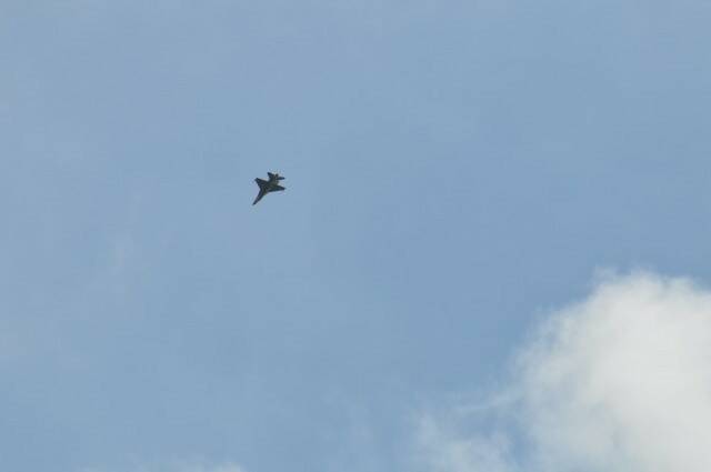 DSC_0851.jpg