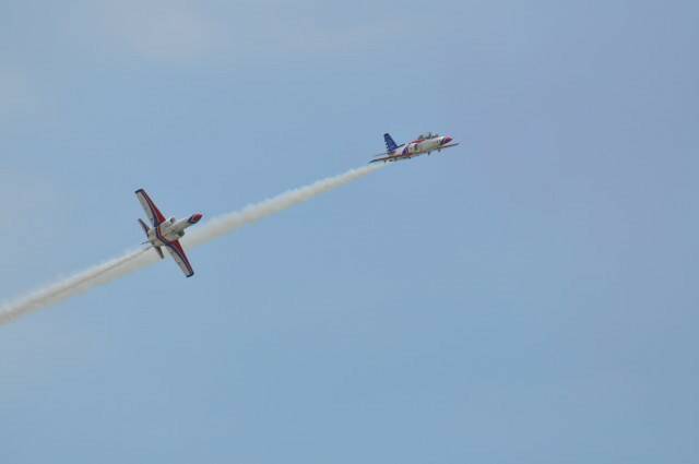 DSC_0785.jpg