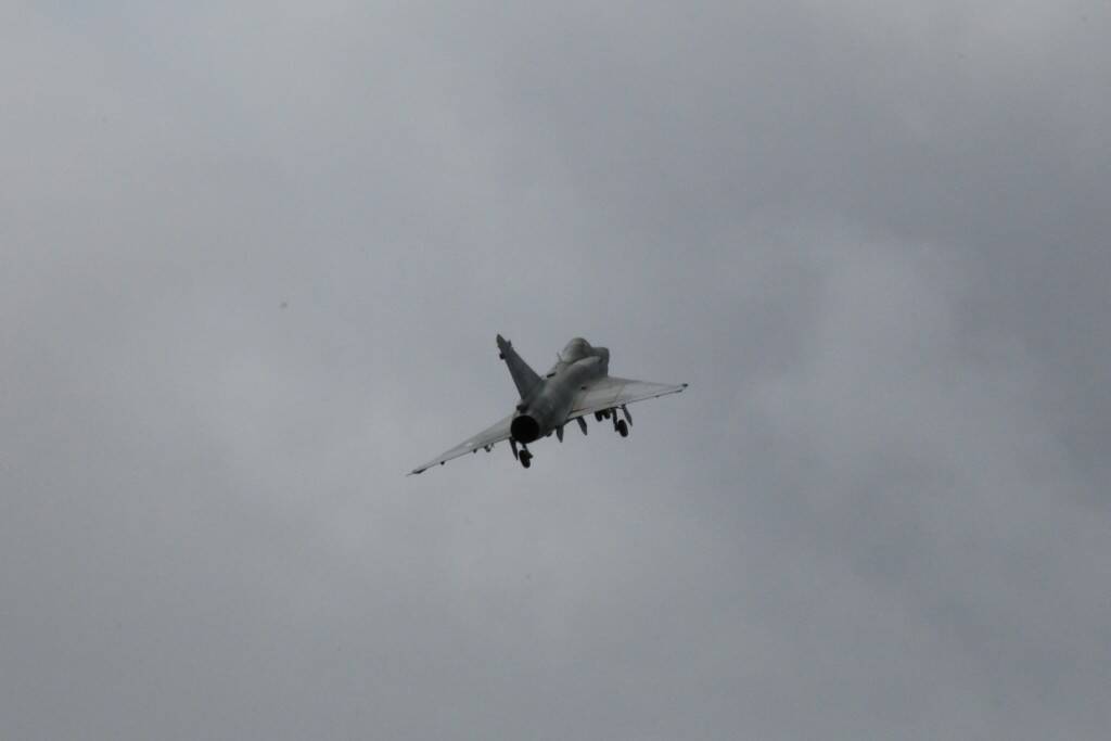 IMG_7565.jpg