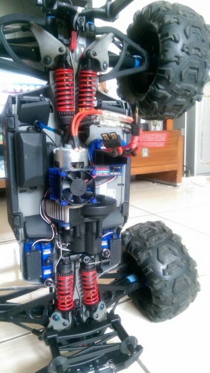 IMAG0265 (452x800).jpg