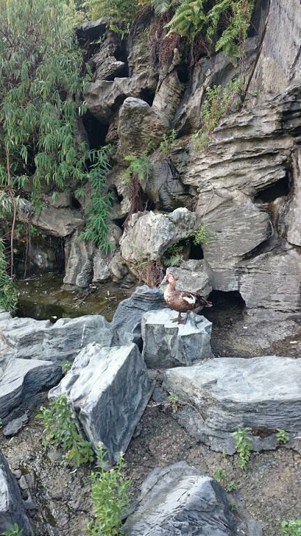 DSC_0679-P25.jpg