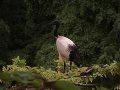 14752212815_2e6bf52258_m.jpg