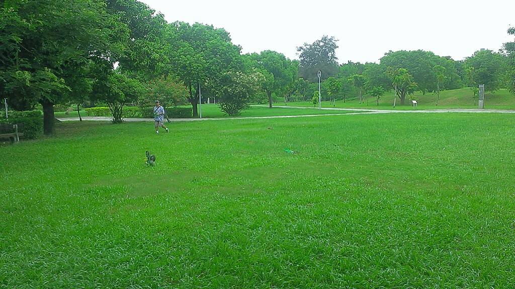 IMAG0725.jpg