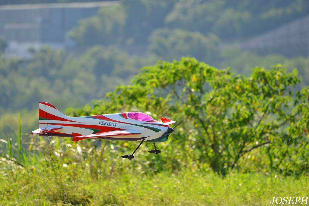 DSC_1210.JPG