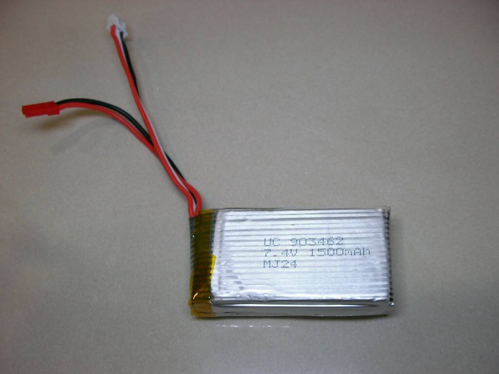V913 bat (1).JPG