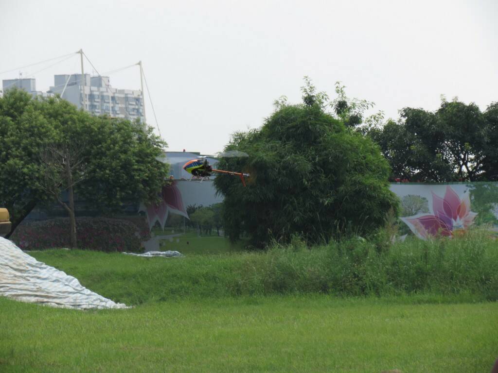 IMG_8924.JPG