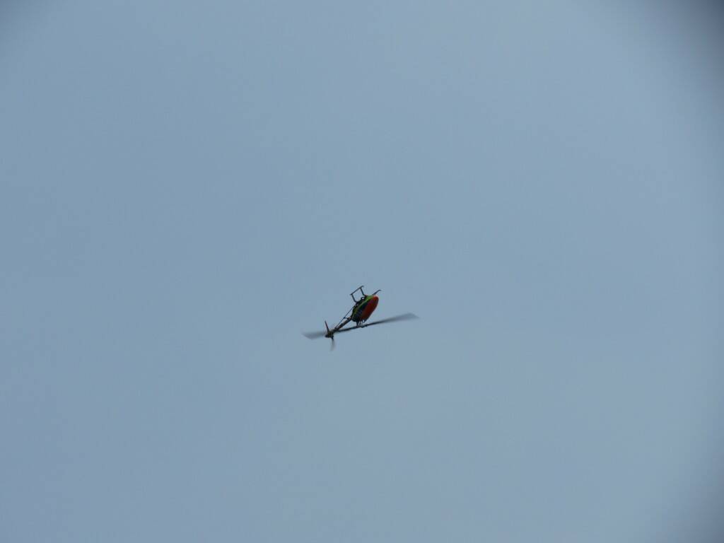 IMG_8929.JPG