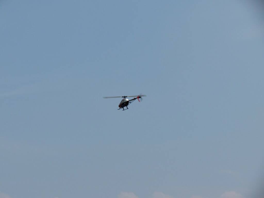 IMG_8957.JPG