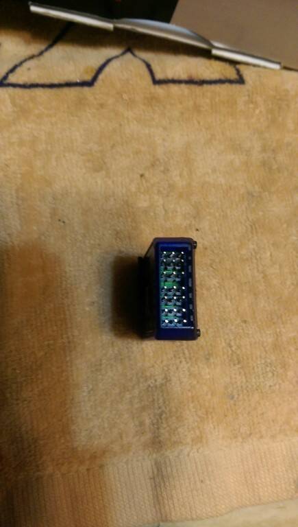 IMAG0681.jpg