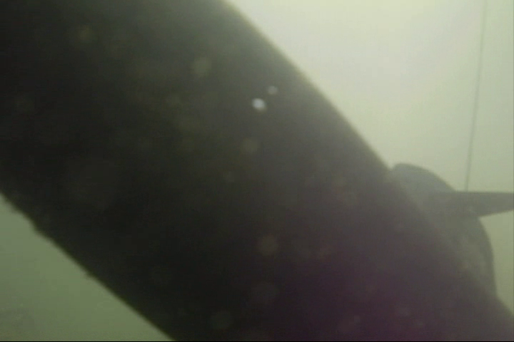 vlcsnap-2014-08-12-11h12m05s189.png
