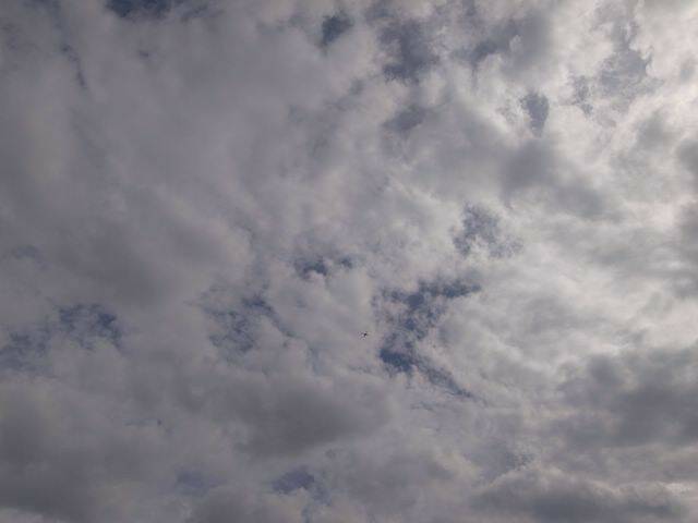 (福利差) 04 [640x480].JPG