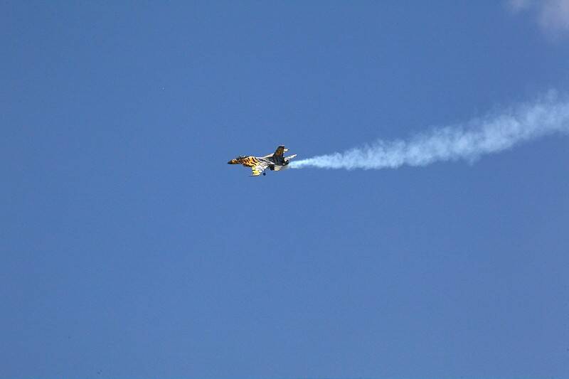 IMG_8420-800.jpg