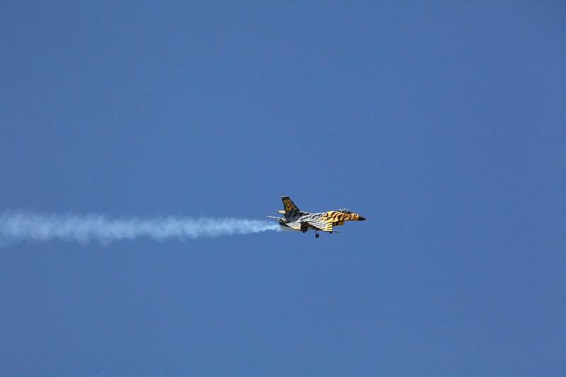 IMG_8446-800.jpg