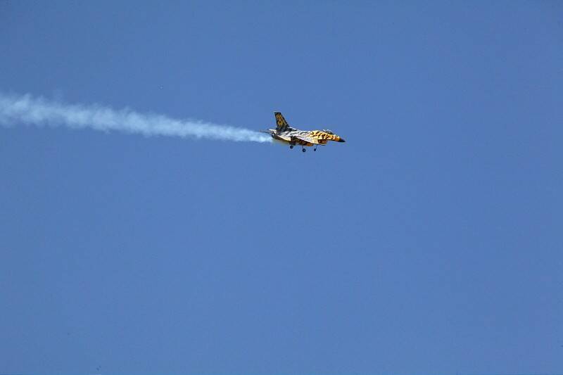 IMG_8449-800.jpg