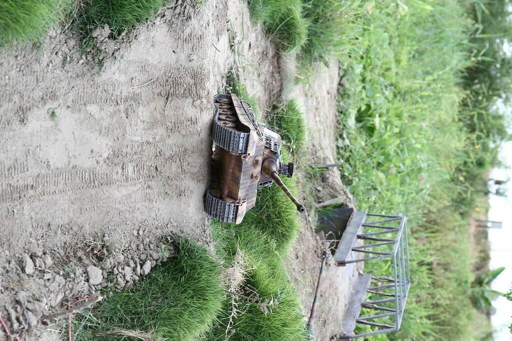 IMG_6731-1024.jpg