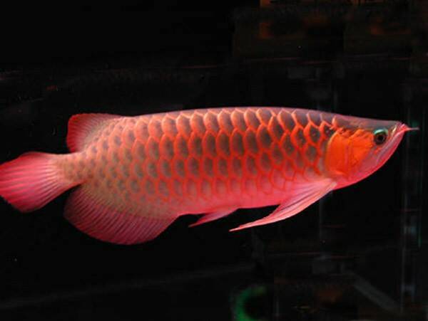 20110529072632507.jpg