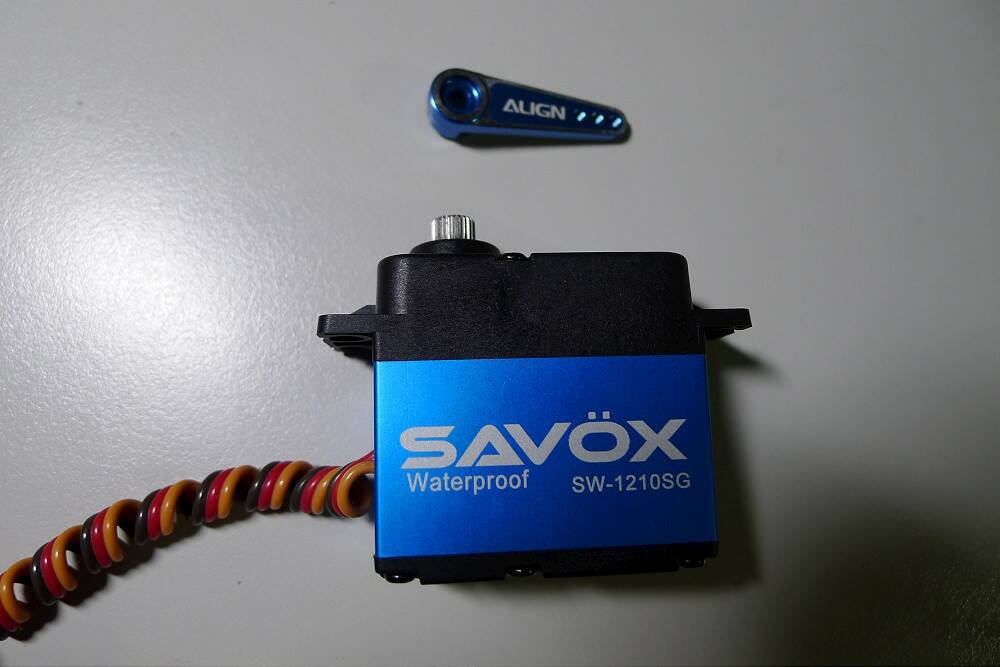 P1040740-1000.jpg