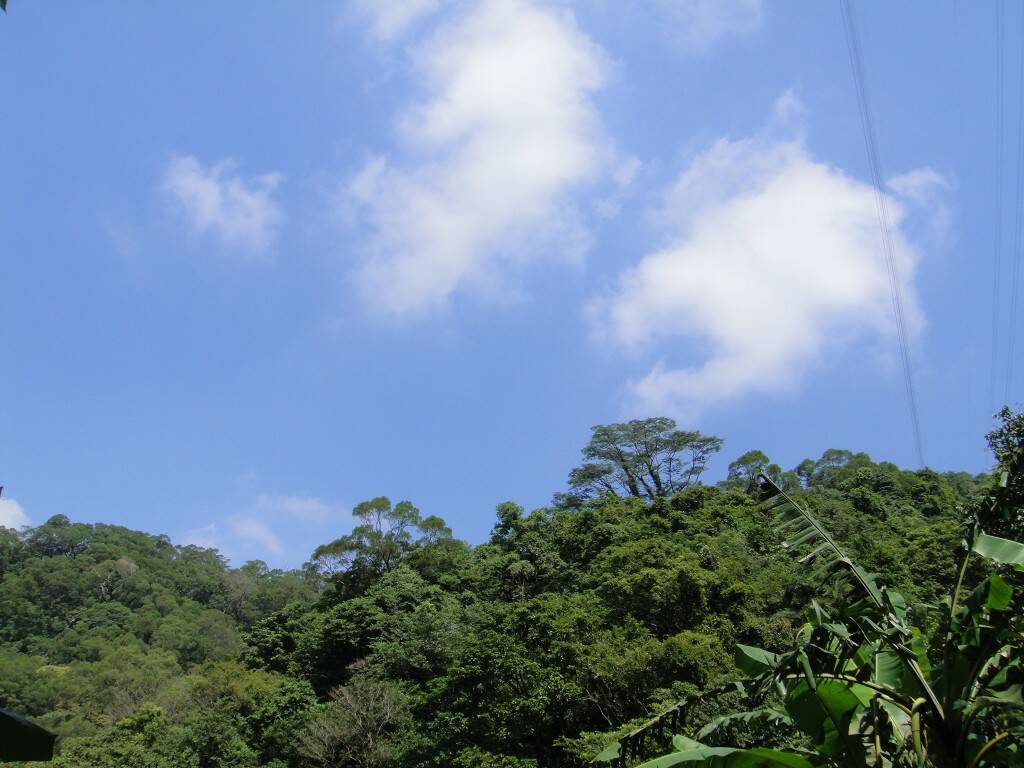 DSC05124.JPG