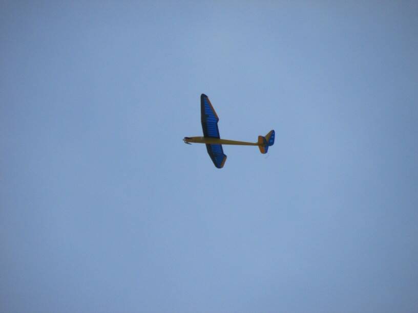 IMG_4071.JPG