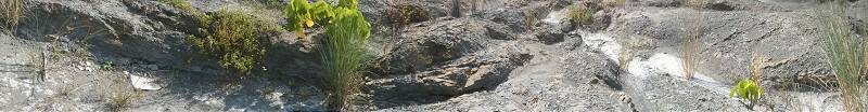 PANO_20141014_092724-800.jpg