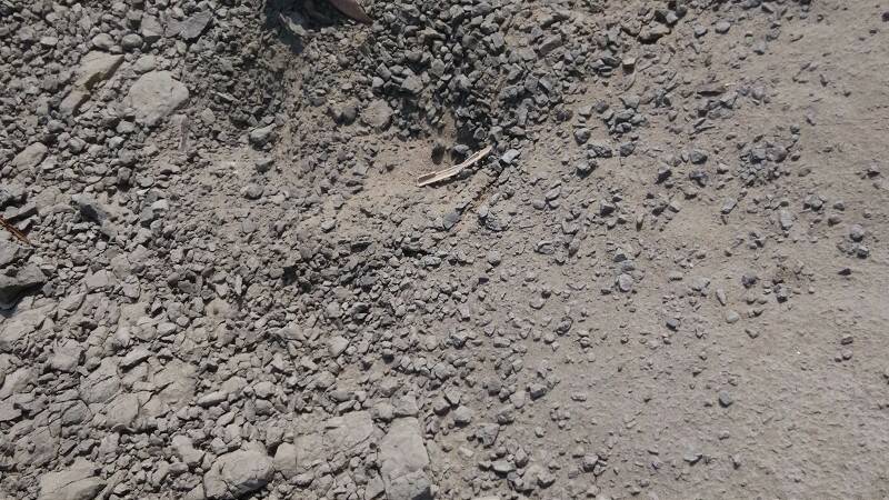 IMG_20141014_100050-800.jpg
