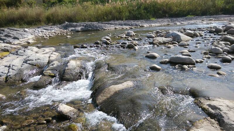 IMG_20141014_093508-800.jpg