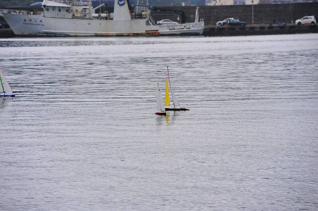 DSC_0881-1024.jpg