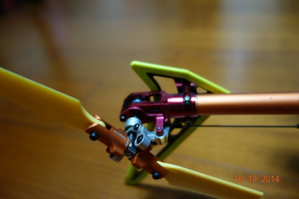 DSC01393.jpg