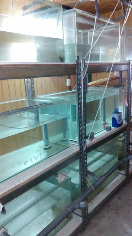 IMAG0134.jpg