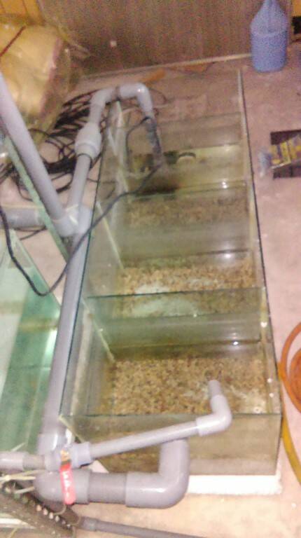 IMAG0133.jpg